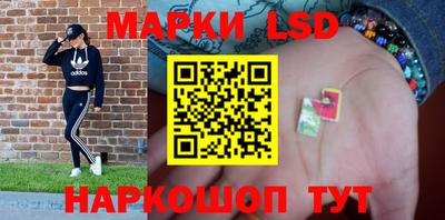 молекула духа Краснодар