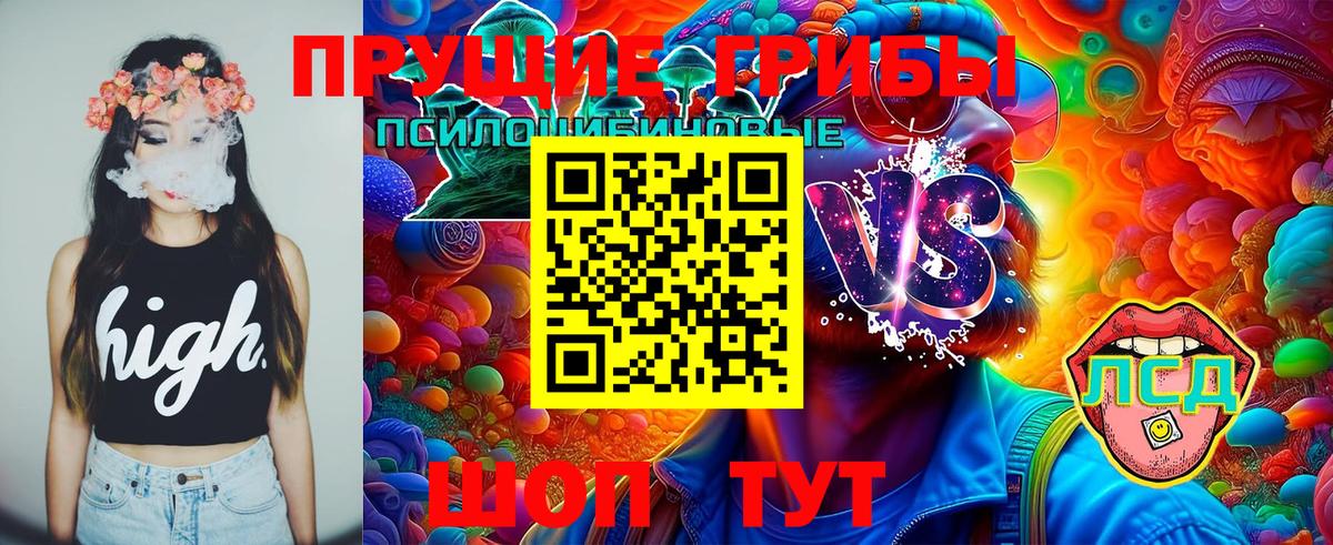 Галлюциногенные грибы GOLDEN TEACHER  Вход с VPN  Галлюциногенные грибы Psilocybe  Чита 